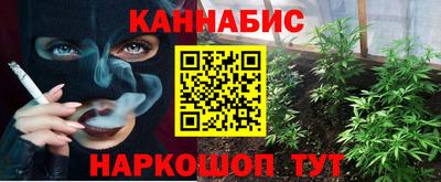 Альфа ПВП Можга