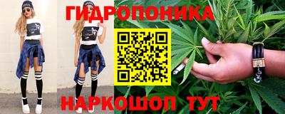 Альфа ПВП Можга