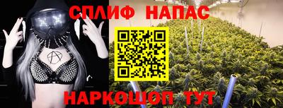 Альфа ПВП Можга