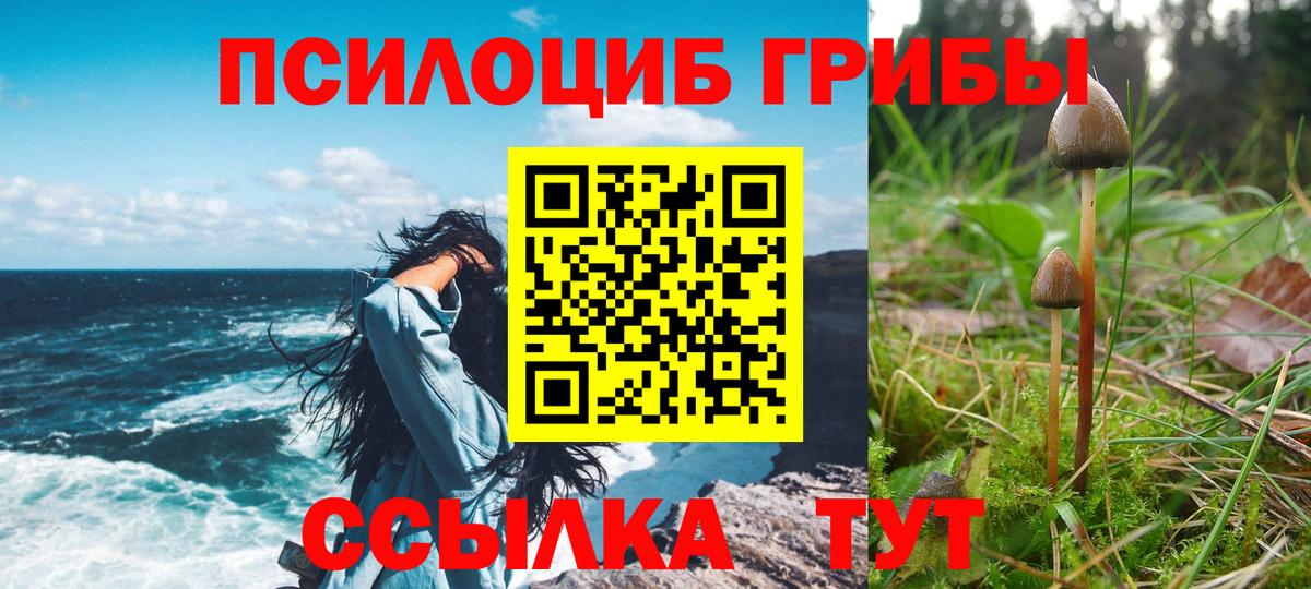 Курганинск  Галлюциногенные грибы Psilocybine cubensis  Вход с VPN 